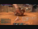 【TERA】スレイヤーのソロ紀行・４日目【砂嵐トカゲ】