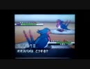 【マーガリンpart4】根性オオスバメvs肝っ玉オオスバメ【ポケモンBW】