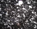 【オリジナル】SNOW DANCE