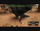 【MHP】おにぎり 167個目(2/3)【独り言】