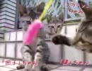 けしからんかわいさの野獣達8【里親募集編3】