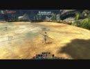 C9 PvP タオ　アサシン2　エレ