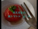 桃の味するトマトを作ってみた【ちょこっと　ぬこ画像】
