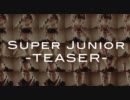 【メンバーおさらい】SuperJunior【Mr.Simple/teaser】