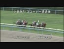 2011年8月20日　小倉競馬９Ｒ　フェニックス賞　パトロール映像