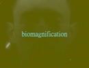 【ニコラップ】udw - biomagnification【NNI】