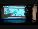 HeartBeatsPVと踊ってみた【生】