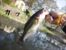 【FISHEYES3】釣りゲー＝クソゲーのジャンルと言われても【実況part03】