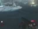 [CoD:BO] 同じ武器の改造と未改造を装備[ゾンビ小ネタ][asshu]
