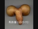 全然卑猥じゃない画像集