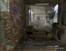 CoD TDMやってみるPart1