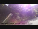 山口県の県道を走ってみた 番外編「林道福萩線」その２
