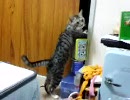ちょっと行ってくる