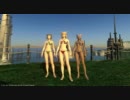 FF14 某猫好きへ捧ぐ
