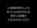 【コピペ】エロ画像収集家たちの名言集【２ｃｈ】