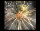 【ビビらずに】弟切草～蘇生篇～　第四夜【ホラーゲーム実況】