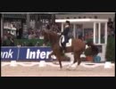 【馬場馬術】Adelinde Cornelissen - 2011 European Dressage Championships Grand Prix Freestyle