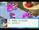 ロックマンエグゼ６　カオス獣グレイガ　１０