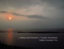 やっぱり、instrumentalが好き