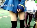 20110828-2 NER=ネル 【外配信】アニメロサマーライブ2011会場前より 2