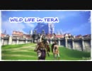 【TERA】フォークファングチュラペア狩り