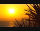 【作業用BGM】 Reggae Mix Vo.3