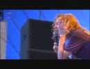 Cage The Elephant - Sabertooth Tiger (Live at Reading Festival 2011)