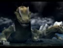 初緊急！はじめてのモンスターハンター３【８ハントめ】