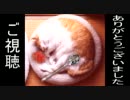 【洒落怖】コトリバコ【ゆっくり怪談】