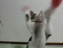 お腹が重い・・・・