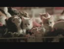 ロンドンのIKEAのCM
