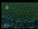 メギドチェリー二人でｇｄｇｄ枠その２（2011/8/1生放送分）