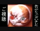 【洒落怖】黒い貴婦人【ゆっくり怪談】