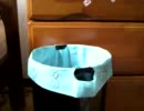 ゴミ箱の中から…
