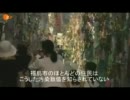 ドイツZDF-Frontal21 福島原発事故、その後（日本語字幕）拡散版
