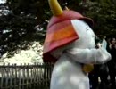 彦根市特別市民になったよ！－2007.11.16／ひこにゃん