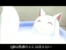 【未見用】魔法少女まどか☆マギカを知ったかする為の動画　第二話