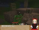 【Minecraft】大ちゃんの大冒険26夜の部(字幕)