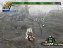 2ヶ月ぶりにMHFやってみた 第三部 ～ショウグン様とサシ 中編～