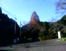 原付でぶらぶら【NS50F】