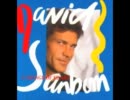 David Sanborn - A Change Of Heartから3曲