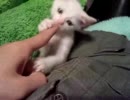 その後