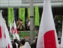 8・21フジテレビ抗議デモ後半⑤西村幸祐