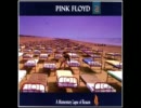Pink Floyd - On The Turning Away