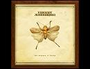 Vincent Markowski - The Madness Of Moths(Original Mix)