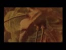 女一人で実況プレイ。～biohazard4～その9