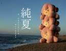 【全部俺】純夏 / エイジアエンジニア