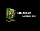 メイコにオリジナル曲【In The Moment】を歌わせてみた