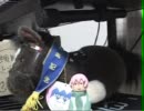 【録画】藤川ラヂオ（仮）第６回　1/2