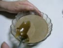 黒杏仁豆腐を作ってみようとした